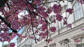 Salzburg: Classical Music Concert at the Mirabell