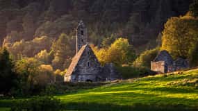 Dublín: Wicklow, Kilkenny, Glendalough y excursión con perros pastores