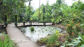 Jardin du géant endormi avec piscine de boue et source thermale de Sabeto