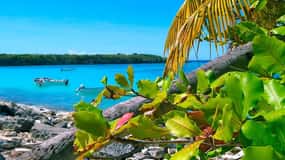 Punta Cana eller La Romana: Catalina Island-tur og snorkling
