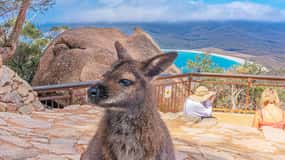 Hobart : Visite de la baie de Wineglass, du parc Freycinet et de Richmond