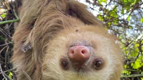 Puerto Limón: Tortuguero, Maratopia, Cahuita, banana plantation, and much more: Tour