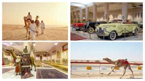 Private Combo Tour to Sheikh Faisal Museum and Camel Racing