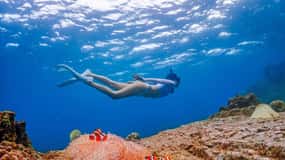 Bangkok: Nemo Island Day Trip with Drone Photos and Lunch
