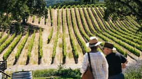 San Francisco: Napa and Sonoma Valley Wine Tour