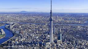 Tokyo: 1 Day Bus Tour with Meiji-Jingu,Odaiba,lunch&Skytree