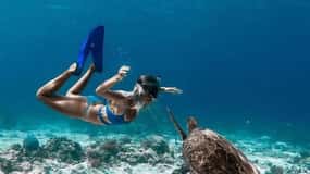 Lombok : Gili Islands Private Snorkeling Tour