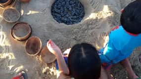 Libertação de tartarugas marinhas bebés em Puerto Escondido