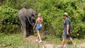 Phuket: Besøg i etisk elefantnaturpark med frokost