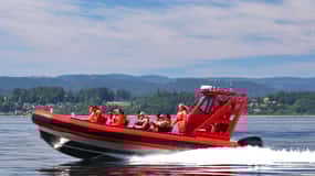 Vancouver, BC: Whale Watching Tour Kleine Zodiac met gids