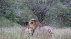 3-days adventure from Dar-es-Salaam to Mikumi National Park
