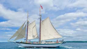 Traverse City: Morning Sail with Local Anishinaabe Guide