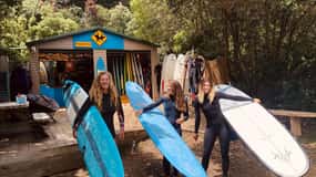 Auckland: Group Surfing Lesson with Muriwai Surf School