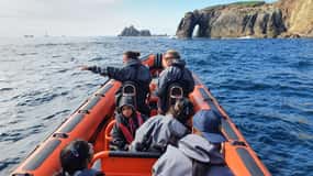 Rounding Cornwall Boat Trip Experience. (Departing Penzance)