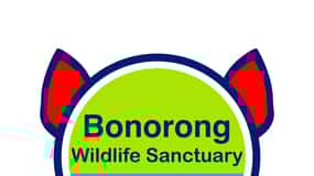 Bonorong Wildlife Sanctuary Shuttle: Hobart Shore Excursion