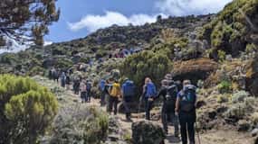 7 dias de caminhada no Kilimanjaro; Cume da Rota Lemosho