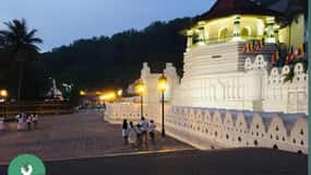 Kandy : Découverte de la ville avec un guide local en mini-van