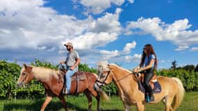 Lazise : balade à cheval et pique-nique à la ferme avec produits locaux