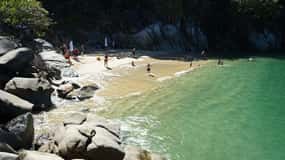 Les merveilles de la plongée en apnée des quatre îles de Puerto Vallarta