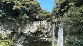 Jeju: South Healing UNESCO Small Group Tour w/Hotel Pick-up