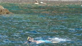 Elba fishing tourism: fishing demonstration with catch tasting