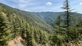 Shimla: Wildlife Sanctuary & Water Catchment Guided Tour