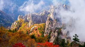 Seoul: Mt. Seoraksan National Park Autumn Foliage Day Tour