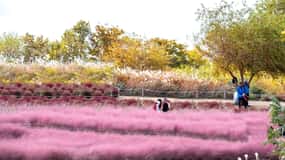 Tour de día completo por Seúl: Hanok Village, rutas panorámicas
