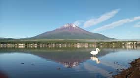 Privétour van een dag naar de berg Fuji vanuit Tokio (aanpasbaar)