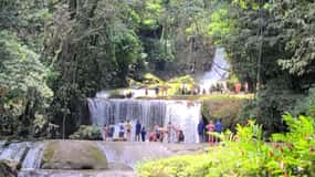 Jamaica: Excursão de Safari às Cataratas de YS e ao Rio Negro