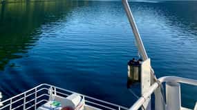 Sogndal: Gemütliche Abendrundfahrt. Bootstour