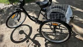 Kissimmee: 8-stündige, vollelektrische Trike Strandtour am See