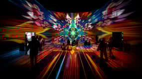 Washington, DC: ARTECHOUSE Immersive Art Experience Ticket