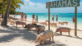 Miami/Fort Lauderdale : excursion d'une journée aux Bahamas en ferry express