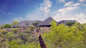 Gaborone: Stadsvandring, game drive och guidad kryssning