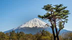 Z Tokia: Soukromá prohlídka hory Fuji na míru