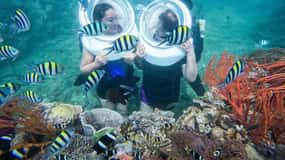 Circuit des 4 îles de Phu Quoc avec plongée avec tuba et parc aquatique avec téléphérique