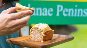 From Oahu: Maui Road to Hana Sightseeing Tour