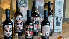 Vermouth and Spirits Tasting in a Distillery near Turin