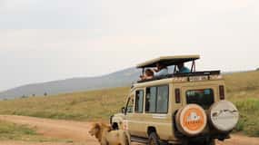 Tanzania: 2 Day Safari Tarangire & Ngorongoro Crater