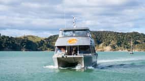 Raglan : Croisière à l'heure du déjeuner dans le port de Raglan