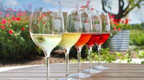 Funk Zone Wine & Food Tour