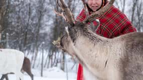 Svolvær: Sami Culture and Reindeer Experience