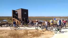 Ria Formosa: Guided Bike Tour (3h), Início na Quinta do Lago