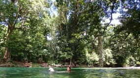 Cairns: Explorer Tour- Cairns Waterfalls