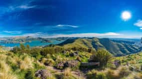 Christchurch City Highlights Half Day Tour