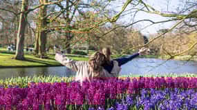 The BEST Lisse Exploring tulip fields & gardens 2026 - FREE