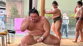 Nagoya: Visit Sumo Morning Practice with English Guide