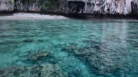 Ko Phi Phi Don: Speedboat Day Trip with Shark Snorkeling