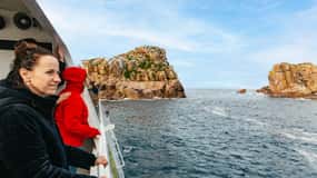 Depuis Coles Bay : Croisière dans la baie de Wineglass avec déjeuner